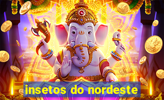 insetos do nordeste